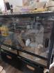 Leopardgecko Weibchen